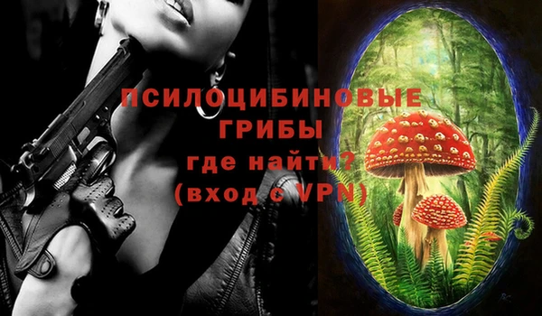 гашик Козловка