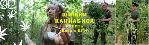мескалин Кодинск