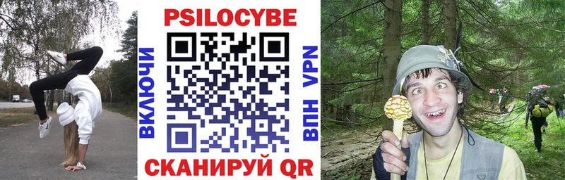 продажа наркотиков  Кимры  Галлюциногенные грибы Psilocybe 