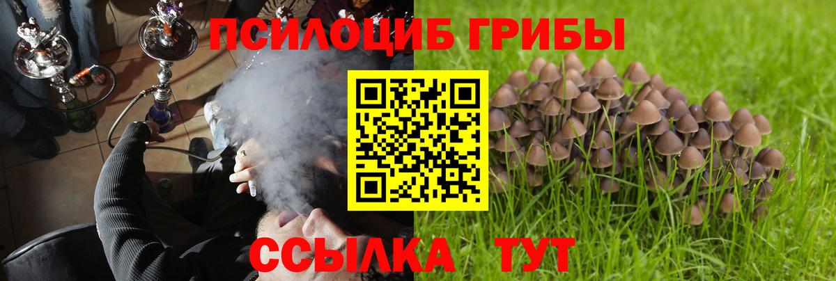 Галлюциногенные грибы MAGIC MUSHROOMS  Вход с VPN  Кимры  Галлюциногенные грибы ЛСД 